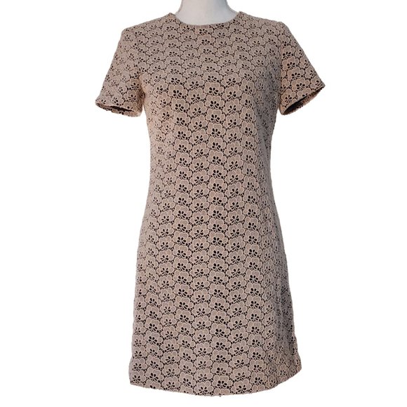 Diane Von Furstenberg/DVF Cindy Acorn Lace Sheath Dress in Stucco - Picture 4 of 8